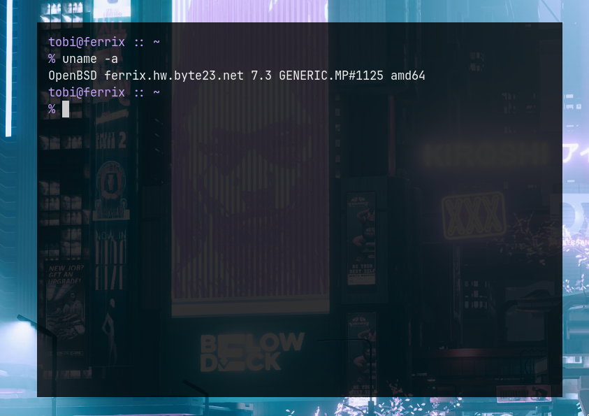 My zsh prompt